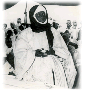 babacar ngom 