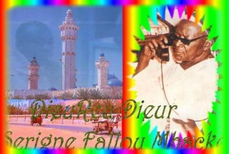 babacar ngom